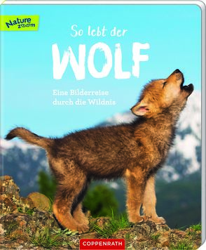 So lebt der Wolf von Noa,  Sandra