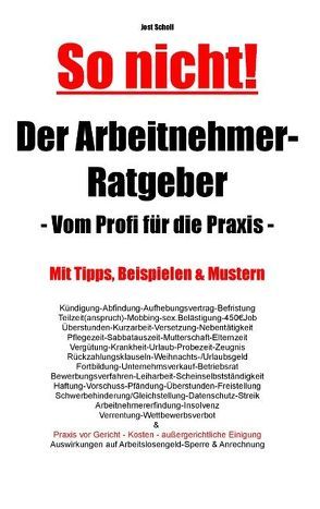 Der Arbeitnehmer-Ratgeber von Scholl,  Jost