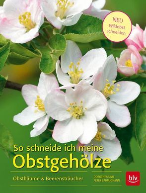 So schneide ich meine Obstgehölze von Baumjohann,  Dorothea, Baumjohann,  Peter