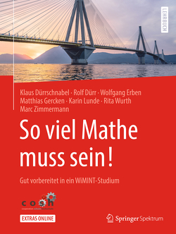 So viel Mathe muss sein! von Dürr,  Rolf, Dürrschnabel,  Klaus, Erben,  Wolfgang, Gercken,  Matthias, Lunde,  Karin, Wurth,  Rita, Zimmermann,  Marc