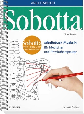 Sobotta Arbeitsbuch Muskeln von Wagner,  Nicole