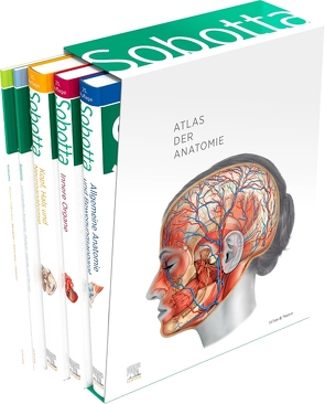 Sobotta Atlas der Anatomie, 3 Bände + Lerntabellen + Poster Collection im Schuber und 6-monatiger Zugang zur Complete Anatomy-App von Paulsen,  Friedrich, Waschke,  Jens