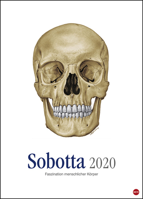 Sobotta Edition Kalender 2020 von Heye