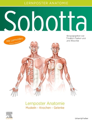 Sobotta Lernposter Anatomie von Paulsen,  Friedrich, Waschke,  Jens