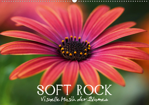 Soft Rock – Visuelle Musik der Blumen (Wandkalender 2021 DIN A2 quer) von Photon (Veronika Verenin),  Vronja