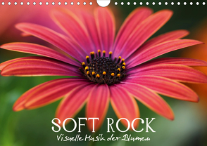 Soft Rock – Visuelle Musik der Blumen (Wandkalender 2021 DIN A4 quer) von Photon (Veronika Verenin),  Vronja