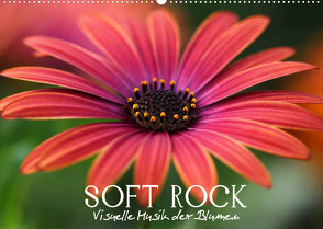 Soft Rock – Visuelle Musik der Blumen (Wandkalender 2022 DIN A2 quer) von Photon (Veronika Verenin),  Vronja