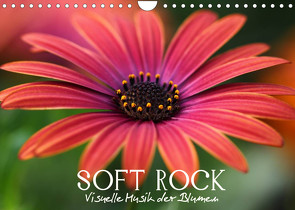 Soft Rock – Visuelle Musik der Blumen (Wandkalender 2022 DIN A4 quer) von Photon (Veronika Verenin),  Vronja