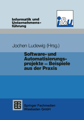 Software- und Automatisierungsprojekte — Beispiele aus der Praxis von Ludewig,  Jochen