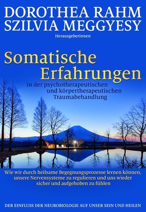 Somatische Erfahrungen in der psychotherapeutischen und körpertherapeutischen Traumabehandlung von Meggyesy,  Szilvia, Rahm,  Dorothea