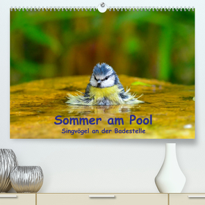 Sommer am Pool – Singvögel an der Badestelle (Premium, hochwertiger DIN A2 Wandkalender 2023, Kunstdruck in Hochglanz) von Plemper,  Ulrich
