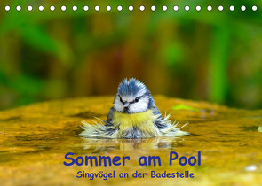 Sommer am Pool – Singvögel an der Badestelle (Tischkalender 2022 DIN A5 quer) von Plemper,  Ulrich