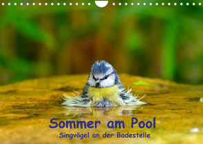 Sommer am Pool – Singvögel an der Badestelle (Wandkalender 2022 DIN A4 quer) von Plemper,  Ulrich