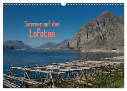 Sommer auf den Lofoten (Wandkalender 2024 DIN A3 quer), CALVENDO Monatskalender von Drees,  Andreas