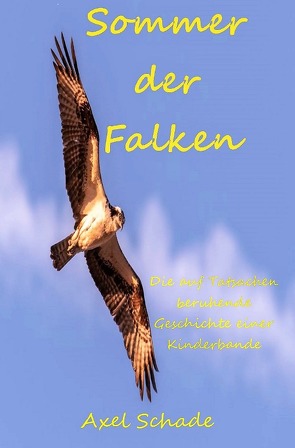 Sommer der Falken von Schade,  Axel