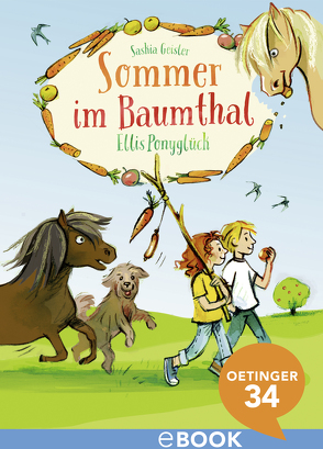 Sommer im Baumthal. Ellis Ponyglück von Fahrnländer,  Beate, Geisler,  Saskia