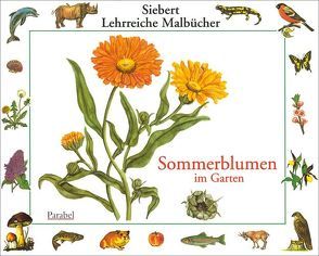 Sommerblumen im Garten von Eigner,  Erwin