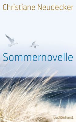 Sommernovelle von Neudecker,  Christiane