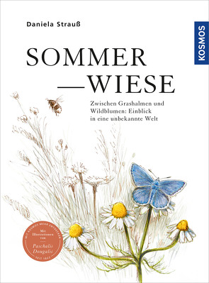 Sommerwiese von Dougalis,  Paschalis, Strauß,  Daniela