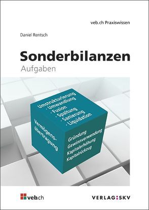 Sonderbilanzen von Rentsch,  Daniel