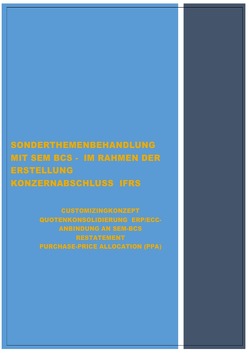 SONDERTHEMENBEHANDLUNG – MIT SEM BCS – IM RAHMEN DER ERSTELLUNG KONZERNABSCHLUSS IFRS von Emrich,  Hans-Georg