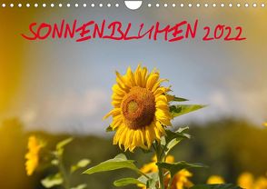 Sonnenblumen 2022 (Wandkalender 2022 DIN A4 quer) von Geduldig,  Bildagentur