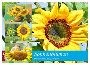 Sonnenblumen. Das Strahlen des Sommers (Wandkalender 2024 DIN A2 quer), CALVENDO Monatskalender von Hurley,  Rose