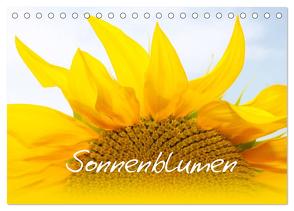 Sonnenblumen – die Blumen der Lebensfreude (Tischkalender 2024 DIN A5 quer), CALVENDO Monatskalender von Ziehr,  Maria-Anna