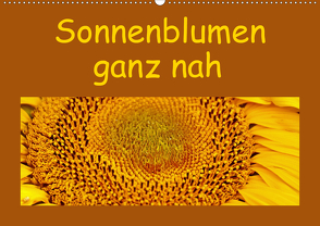 Sonnenblumen – ganz nah (Wandkalender 2021 DIN A2 quer) von Vorndran,  Hans-Georg