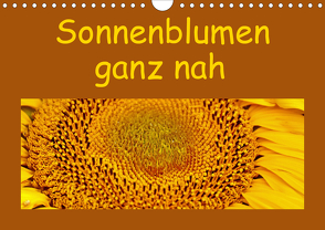 Sonnenblumen – ganz nah (Wandkalender 2021 DIN A4 quer) von Vorndran,  Hans-Georg