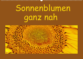 Sonnenblumen – ganz nah (Wandkalender 2022 DIN A2 quer) von Vorndran,  Hans-Georg