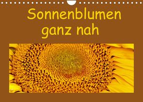 Sonnenblumen – ganz nah (Wandkalender 2022 DIN A4 quer) von Vorndran,  Hans-Georg