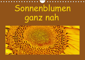 Sonnenblumen – ganz nah (Wandkalender 2023 DIN A4 quer) von Vorndran,  Hans-Georg