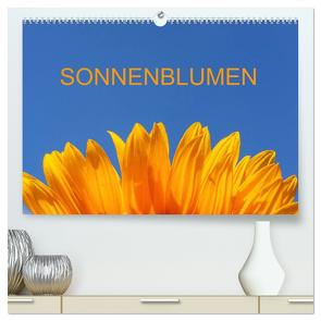 Sonnenblumen (hochwertiger Premium Wandkalender 2024 DIN A2 quer), Kunstdruck in Hochglanz von Jaeger,  Thomas