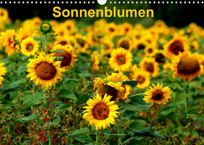 Sonnenblumen (Wandkalender 2022 DIN A3 quer) von Schulz,  Dorothea