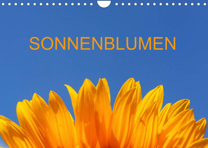 Sonnenblumen (Wandkalender 2023 DIN A4 quer) von Jaeger,  Thomas