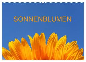 Sonnenblumen (Wandkalender 2024 DIN A2 quer), CALVENDO Monatskalender von Jaeger,  Thomas