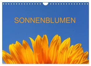 Sonnenblumen (Wandkalender 2024 DIN A4 quer), CALVENDO Monatskalender von Jaeger,  Thomas