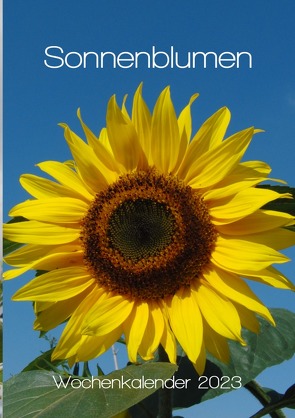 Sonnenblumen Wochenkalender 2023 von Schilling,  Linda, Schilling,  Michael