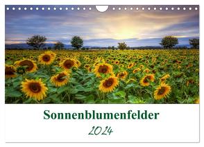 Sonnenblumenfelder (Wandkalender 2024 DIN A4 quer), CALVENDO Monatskalender von Gierok / Magic Artist Design,  Steffen