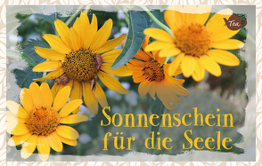 Sonnenschein für die Seele von Engeln,  Reinhard