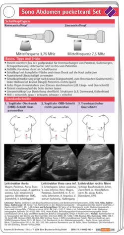 Sono Abdomen pocketcard Set von Brodmann,  Doreen, Recker,  Florian