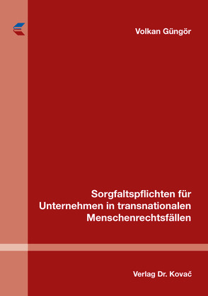 Sorgfaltspflichten für Unternehmen in transnationalen Menschenrechtsfällen von Güngör,  Volkan