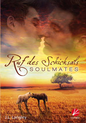 Soulmates: Ruf des Schicksals von Langley,  J.L., Werner,  Chris