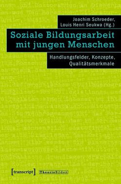 Soziale Bildungsarbeit mit jungen Menschen von Schroeder,  Joachim, Seukwa,  Louis Henri