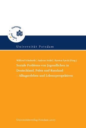 Soziale Probleme von Jugendlichen in Deutschland, Polen und Russland: Alltagsleben und Lebensperspektiven von Schubarth,  Wilfried, Seidel,  Andreas, Speck,  Karsten