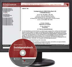 Sozialgesetzbuch (SGB) III: Arbeitsförderung – Abonnement von Daumann,  Renate, Großmann,  Ruprecht, Hauck,  Karl, Hengelhaupt,  Dietrich, Kühl,  Martin, Noftz,  Wolfgang, Oppermann,  Dagmar, Petzold,  Hans Arno, Rademacker,  Olaf, Radüge,  Astrid, Scholz,  Bernhard, Siefert,  Jutta, Timme,  Hinnerk, Valgolio,  Leandro, Voelzke,  Thomas