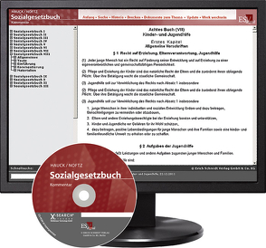 Sozialgesetzbuch (SGB) VIII: Kinder- und Jugendhilfe – Einzelbezug von Banafsche,  Minou, Bieritz-Harder,  Renate, Bohnert,  Cornelia, Greßmann,  Michael, Grube,  Christian, Hauck,  Karl, Hilke,  Andreas, Kirchhoff,  Guido, Noftz,  Wolfgang, Oppermann,  Dagmar, Rombach,  Wolfgang, Stähr,  Axel