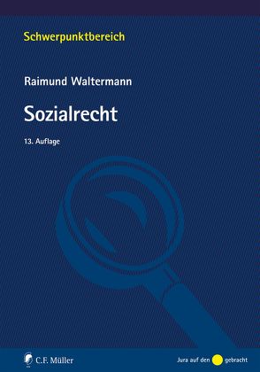 Sozialrecht von Waltermann,  Raimund