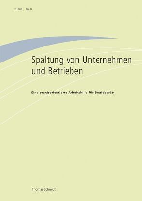 Spaltung von Unternehmen und Betrieben von Schmidt,  Thomas